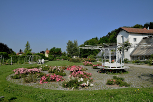 Rožni vrt Tivoli. Foto: Marko Dobrilovič